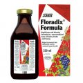 Floradix - железо в сиропе 250 мл - Salus