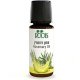 Розмарин - 100% эфирное масло 10 мл - Roots Botanical